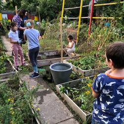 Kinder aus Laatzener Grundschulen und Kindertagesstätten lernen im Interkulturellen Garten verantwortungsvolles globales Handeln.