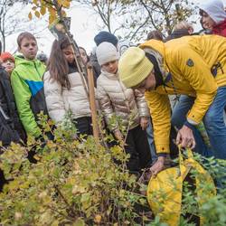 Im Projekt "Ich kann was tun" pflanzen Schülerinnen und Schüler aus dem vierten Jahrgang der Grundschule Im Langen Feld Laatzen einen Baum im Interkulturellen Garten in Laatzen-Mitte.