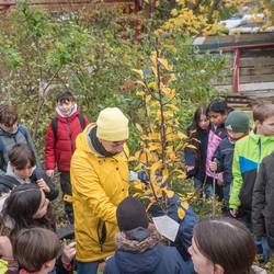 Im Projekt "Ich kann was tun" pflanzen Schülerinnen und Schüler aus dem vierten Jahrgang der Grundschule Im Langen Feld Laatzen einen Baum im Interkulturellen Garten in Laatzen-Mitte.