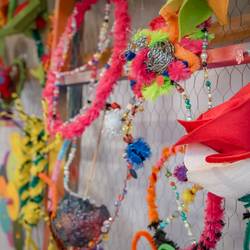 Schülerinnen und Schüler der Freien Martinssschule in Laatzen beschäftigen sich im Projekt "Die Sprache der Blumen" mit Vielfalt und Gemeinschaft.